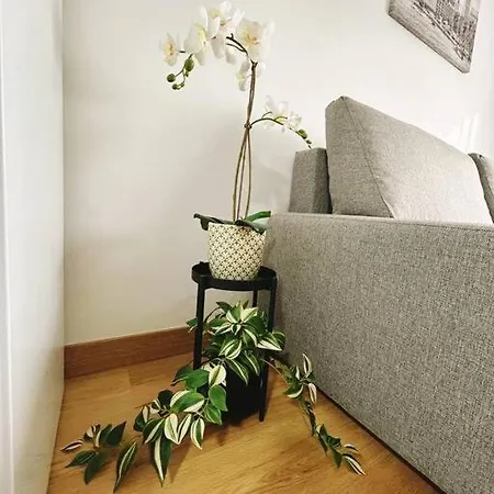 Apartment In The Heart Of *